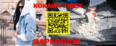 гашик Будённовск