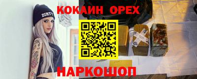 гашик Будённовск