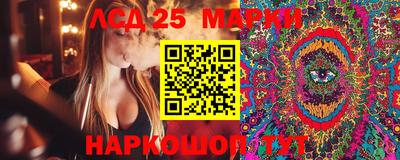 гашик Будённовск