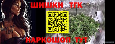 гашик Будённовск